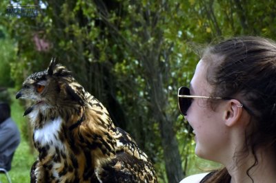 I nostri amici animali